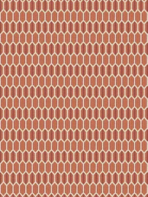 Amoli hex - Guava