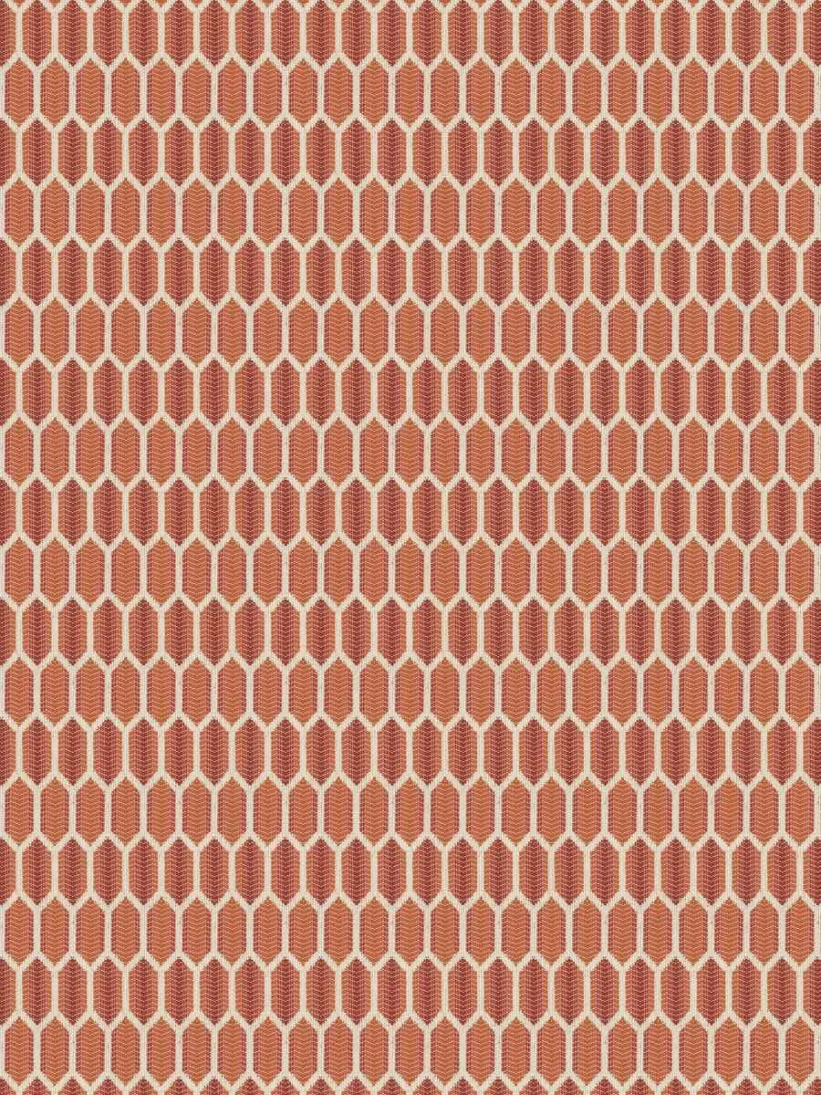 Amoli hex - Guava