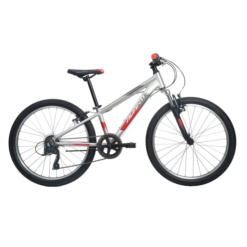 Avanti Shadow 24 - Polished