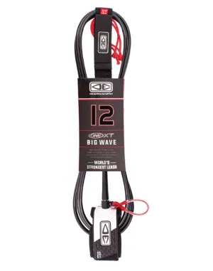 Big Wave 12'0 leash