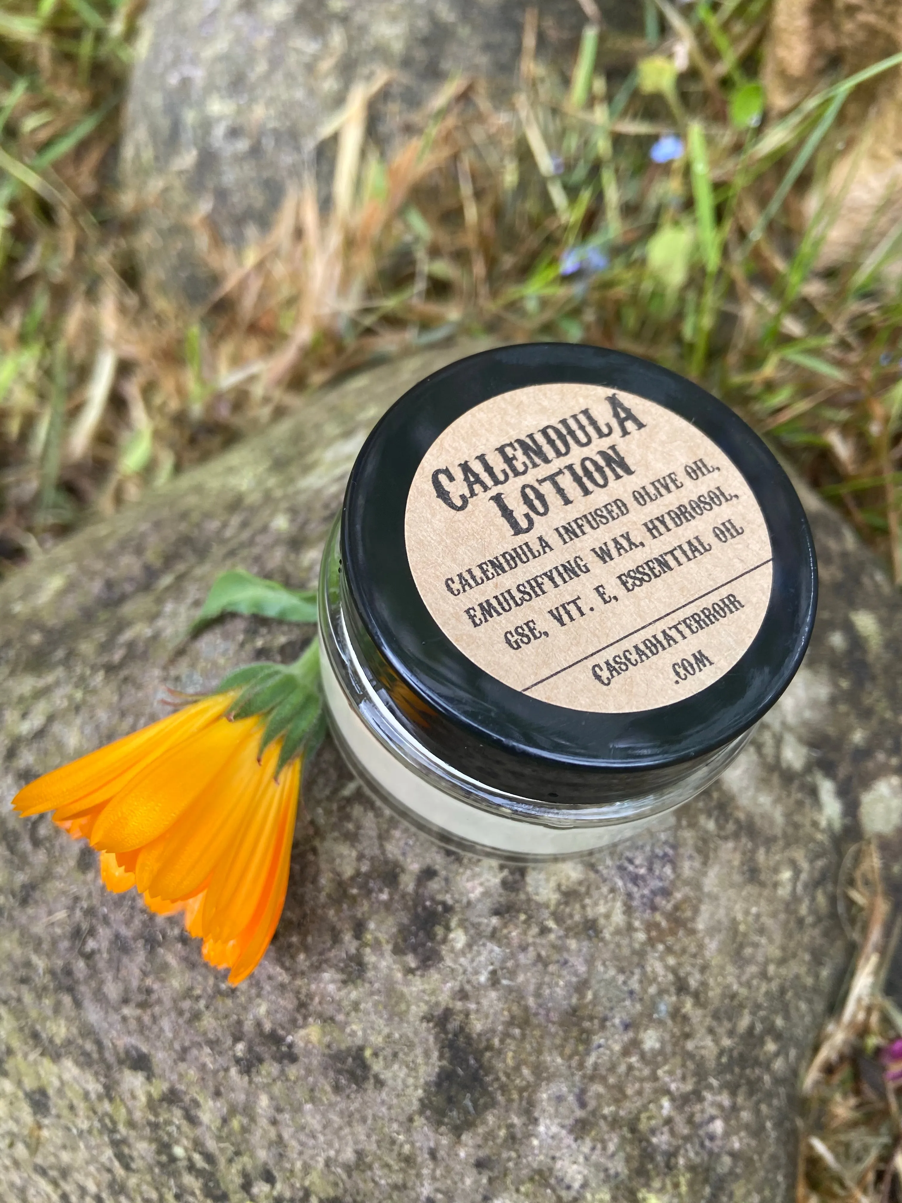 Calendula Lotion