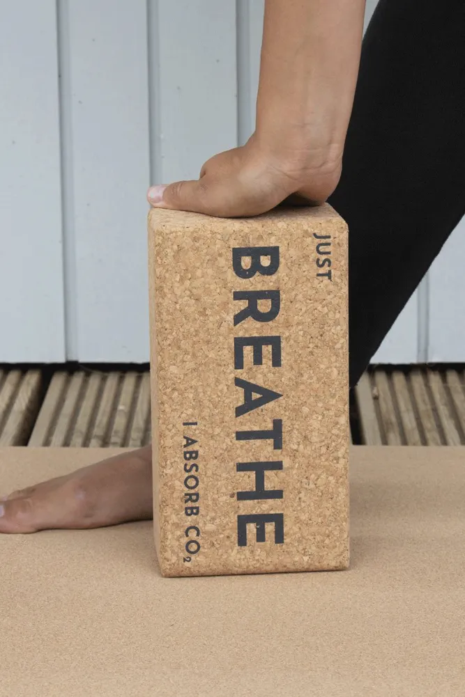 Cork Yoga Blocks - Set of 2