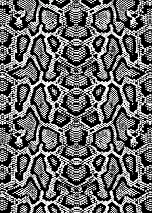 Custom Snake Scale