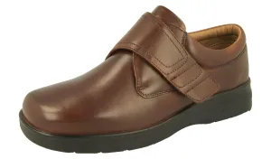 DB Shoes Women's Wide Fit (2V) Benny Shoes in Brown, Size 6 to 14