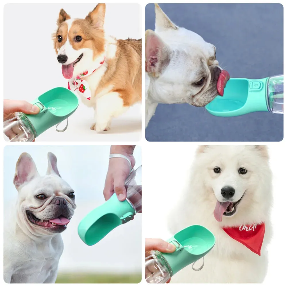 Doggie Drink Dispenser