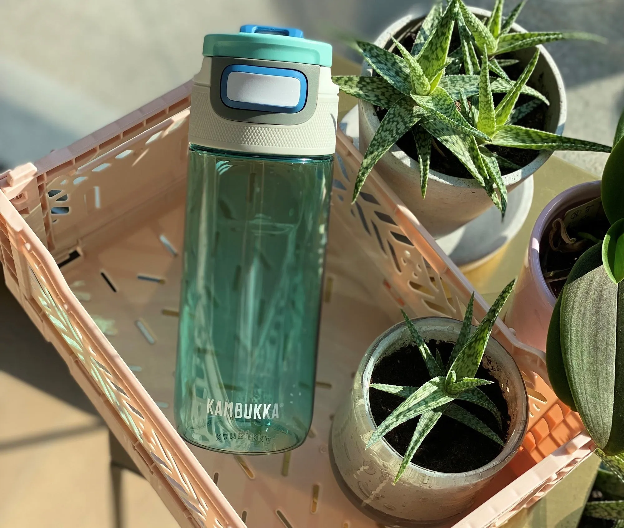 ELTON 500ML WATER BOTTLE