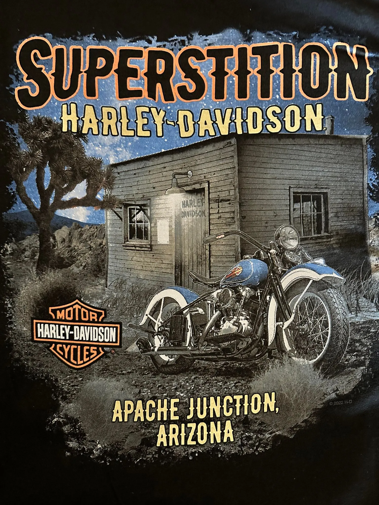Harley-Davidson® Men's Elongated Bar & Shield Night Scene Custom Short Sleeve Tee, Black