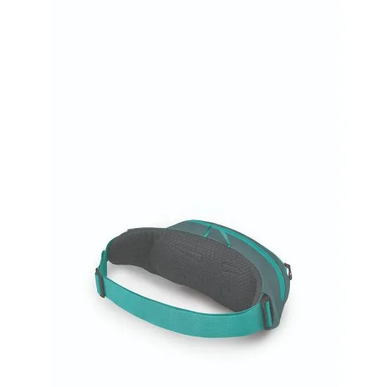 Osprey Daylite Waist