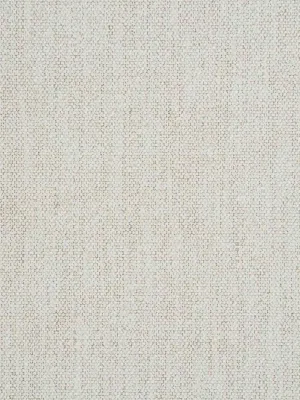 Peg - Birch