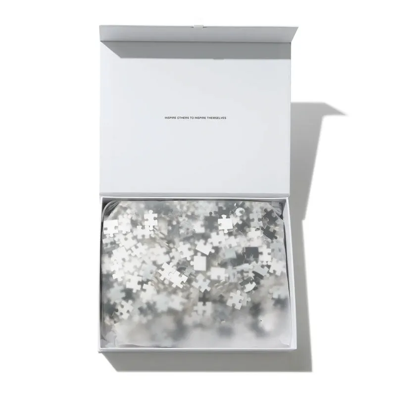 Polar Puzzle N.01