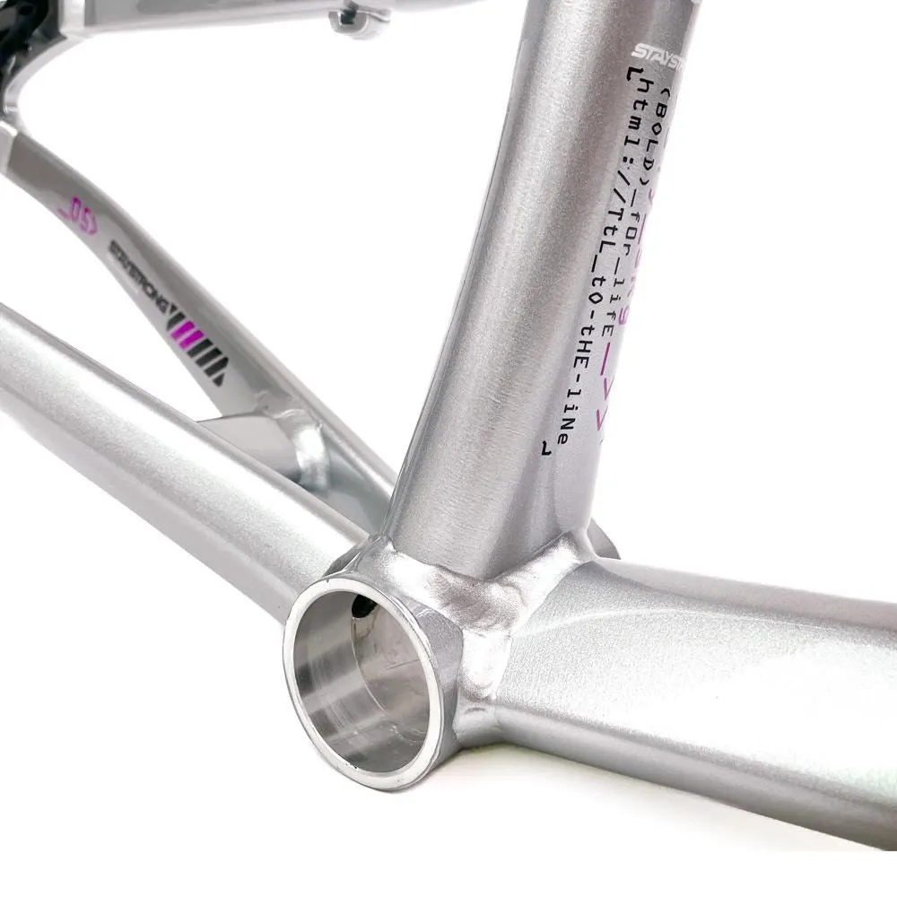 Stay Strong For Life 2024 V5 Cruiser XXL Race Frame - Disc Version
