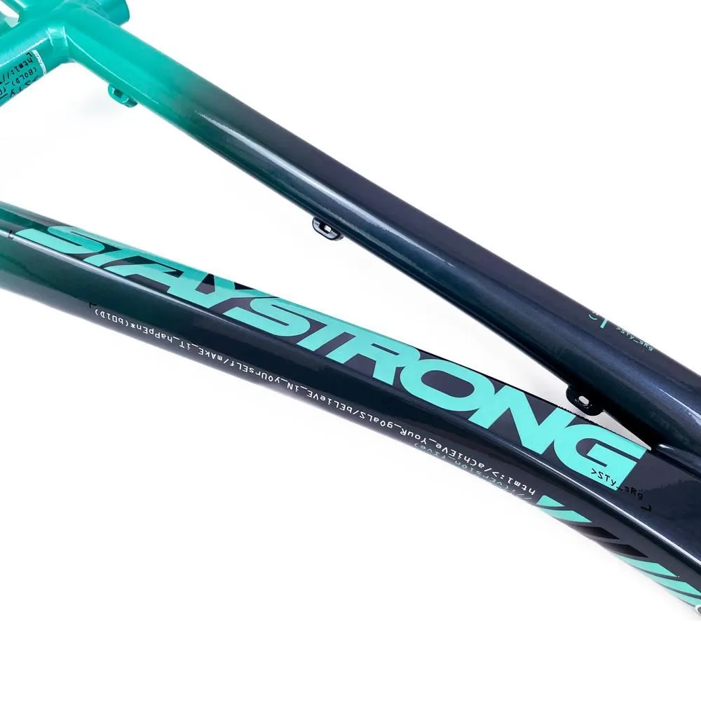 Stay Strong For Life 2024 V5 Cruiser XXL Race Frame - Disc Version