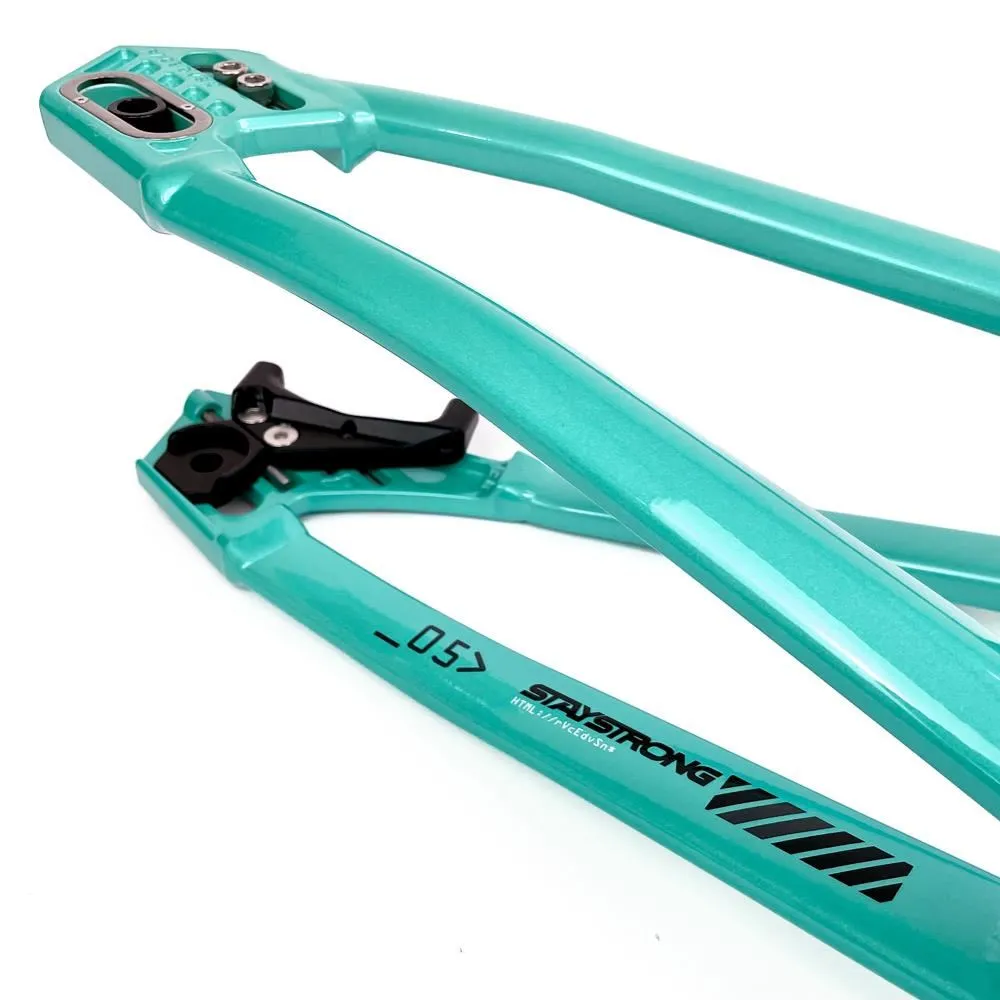 Stay Strong For Life 2024 V5 Cruiser XXL Race Frame - Disc Version