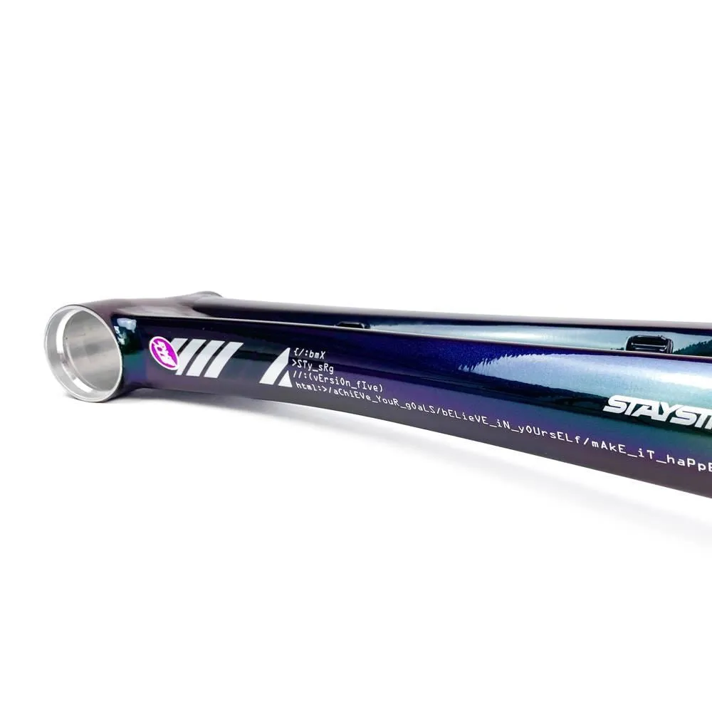 Stay Strong For Life 2024 V5 Cruiser XXL Race Frame - Disc Version