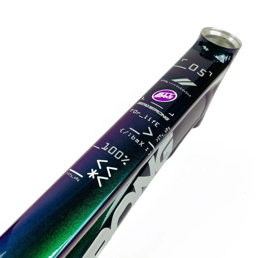 Stay Strong For Life 2024 V5 Expert XL Race Frame - Disc version