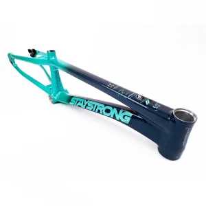 Stay Strong For Life 2024 V5 Pro XXL Race Frame - Disc version