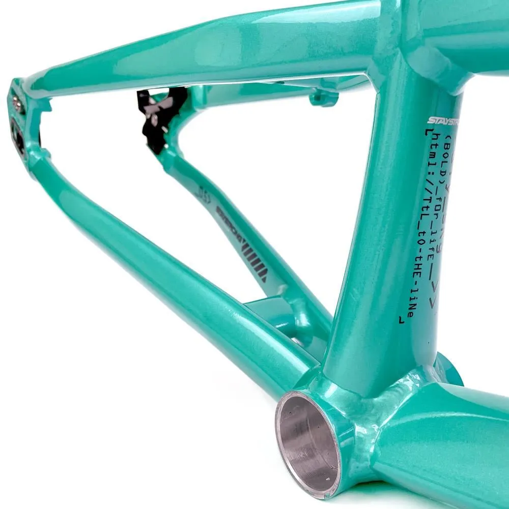 Stay Strong For Life 2024 V5 Pro XXL Race Frame - Disc version