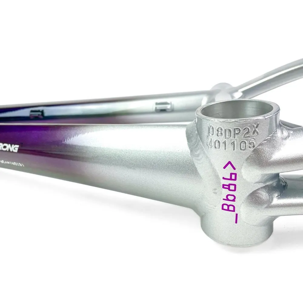 Stay Strong For Life 2024 V5 Pro XXL Race Frame - Disc version