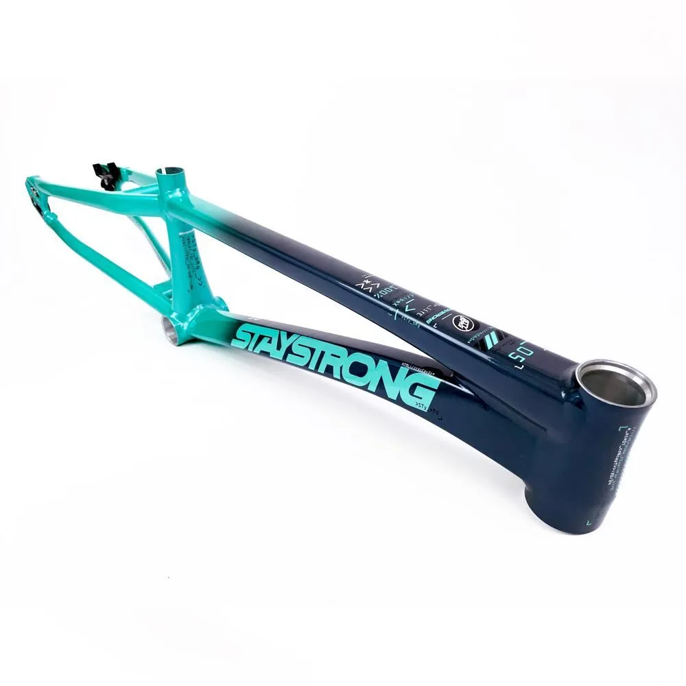 Stay Strong For Life 2024 V5 Pro XXL Race Frame - Disc version