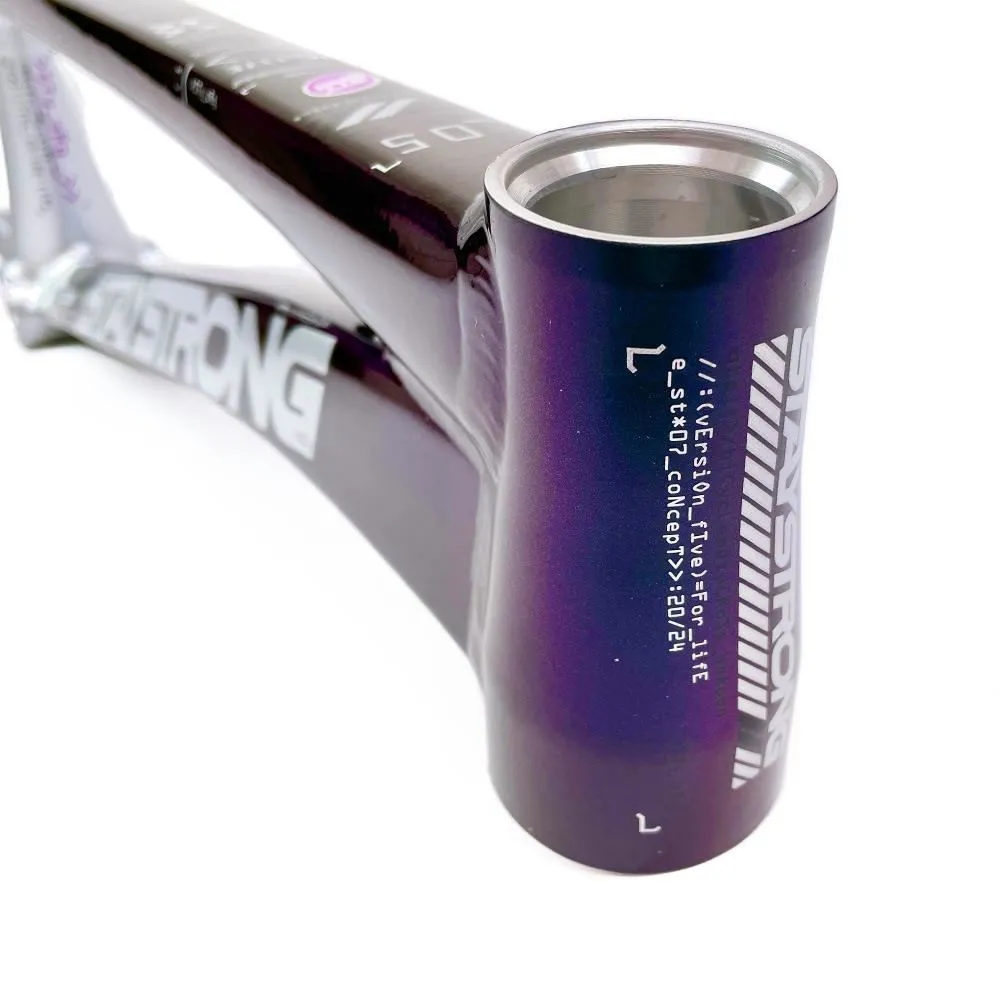 Stay Strong For Life 2024 V5 Pro XXL Race Frame - Disc version