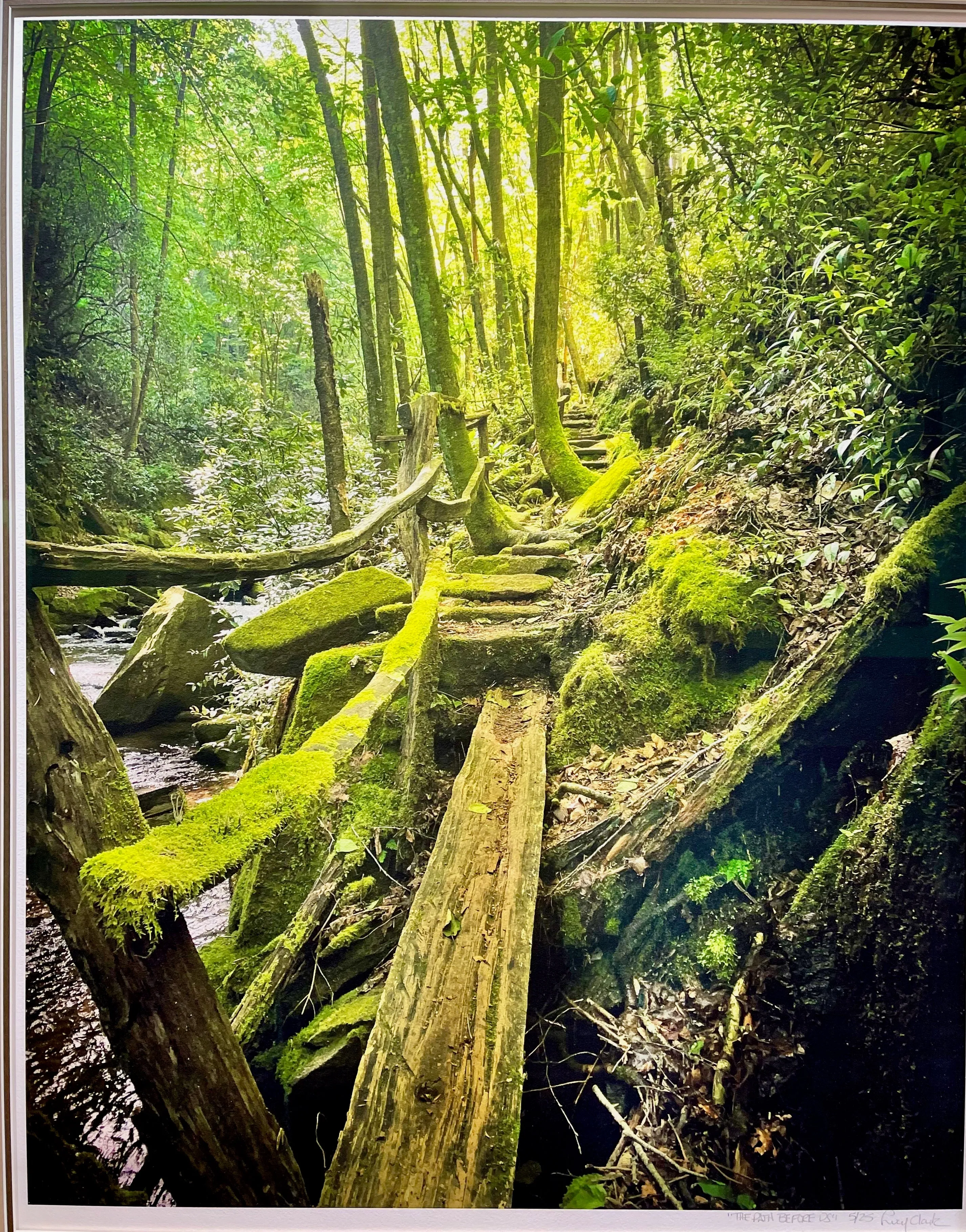 “The Path Before Us”  Framed Photography