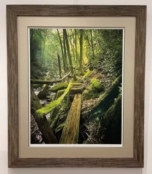 “The Path Before Us”  Framed Photography