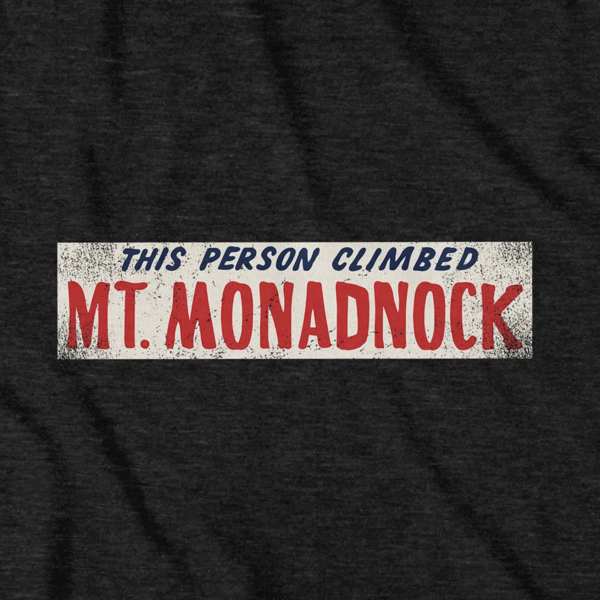This Person Climbed Mt. Monadnock T-Shirt
