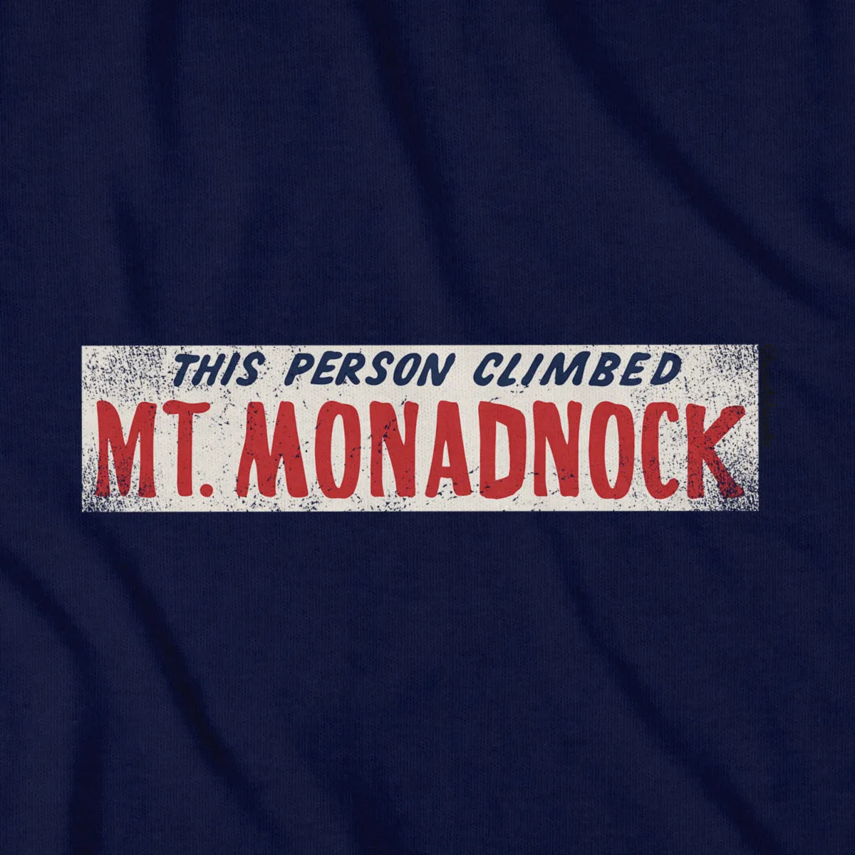This Person Climbed Mt. Monadnock T-Shirt